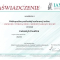 Powiększ obraz: certificate 17