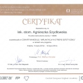Powiększ obraz: certificate 32