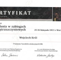 Powiększ obraz: certificate 12