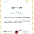 Powiększ obraz: certificate 9