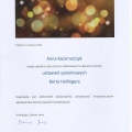 Powiększ obraz: certificate 6