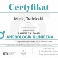 Powiększ obraz: certificate 10