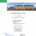 Powiększ obraz: certificate 2