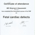 Powiększ obraz: certificate 4