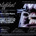 Powiększ obraz: certificate 3