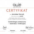Powiększ obraz: certificate 9