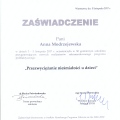 Powiększ obraz: certificate 2