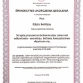 Powiększ obraz: certificate 6