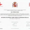Powiększ obraz: certificate 10