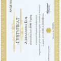 Powiększ obraz: certificate 7
