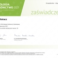 Powiększ obraz: certificate 60