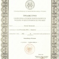 Powiększ obraz: certificate 8