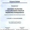 Powiększ obraz: certificate 6