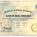 Powiększ obraz: certificate 9