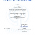 Powiększ obraz: certificate 14