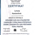 Powiększ obraz: certificate 4