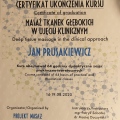 Powiększ obraz: certificate 2