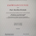 Powiększ obraz: certificate 2