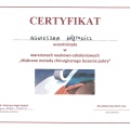 Powiększ obraz: certificate 7