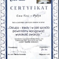 Powiększ obraz: certificate 25