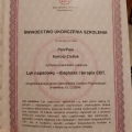 Powiększ obraz: certificate 11