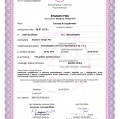 Powiększ obraz: certificate 4