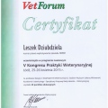 Powiększ obraz: certificate 4