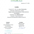 Powiększ obraz: certificate 9