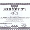 Powiększ obraz: certificate 4