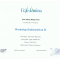 Powiększ obraz: certificate 4