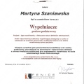 Powiększ obraz: certificate 41