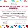 Powiększ obraz: certificate 3