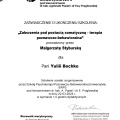 Powiększ obraz: certificate 11