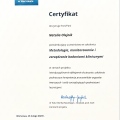 Powiększ obraz: certificate 4