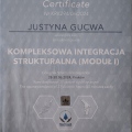 Powiększ obraz: certificate 11