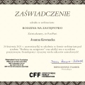 Powiększ obraz: certificate 2