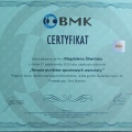 Powiększ obraz: certificate 12