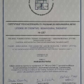 Powiększ obraz: certificate 1