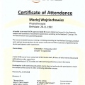 Powiększ obraz: certificate 7