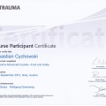 Powiększ obraz: certificate 6
