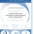 Powiększ obraz: certificate 13