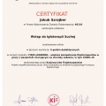 Powiększ obraz: certificate 20