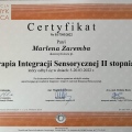 Powiększ obraz: certificate 4