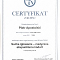 Powiększ obraz: certificate 5