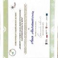 Powiększ obraz: certificate 9