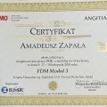 Powiększ obraz: certificate 14