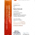 Powiększ obraz: certificate 3