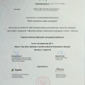 Powiększ obraz: certificate 6