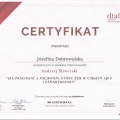 Powiększ obraz: certificate 2