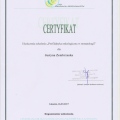 Powiększ obraz: certificate 2